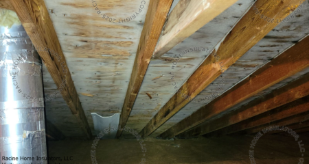 Attic Mold