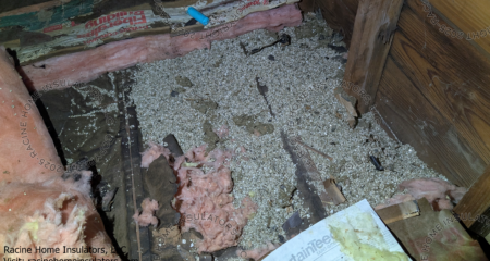 Vermiculite removal in Pewaukee